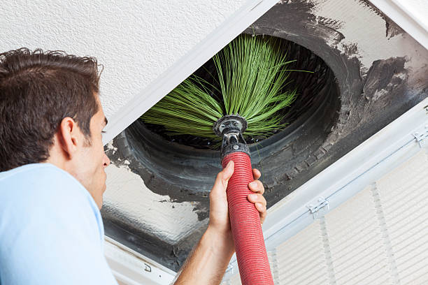 Air Duct Mold Removal in Lake Arrowhead, CA
